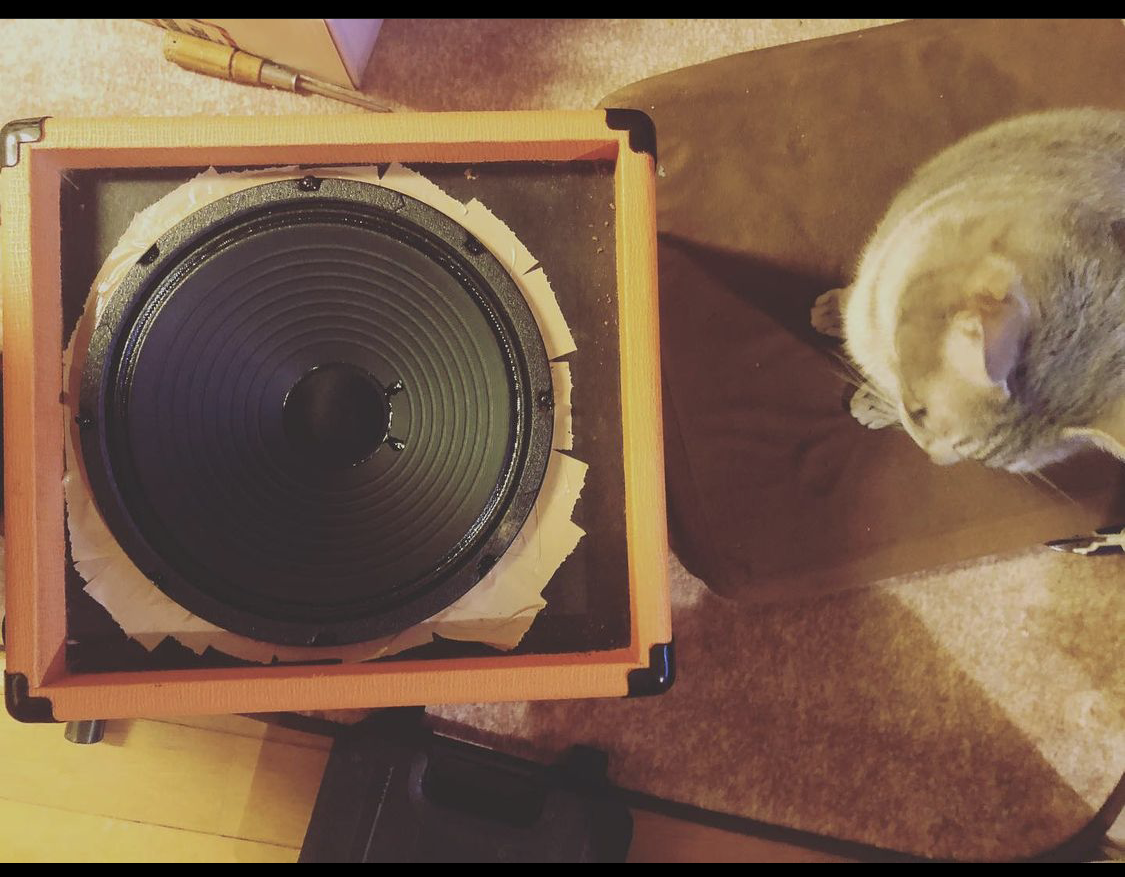 Eminence RF10 speaker